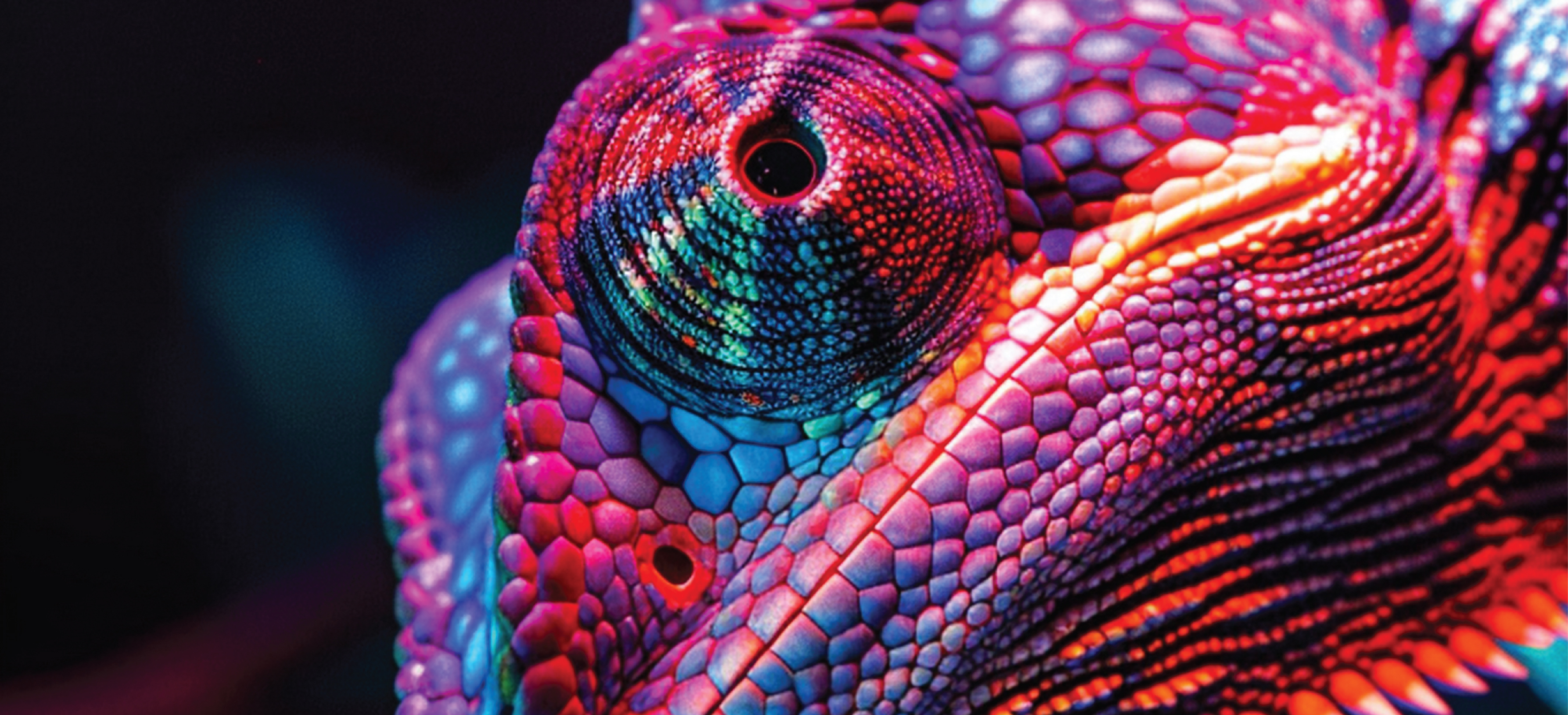 Creat Branding background