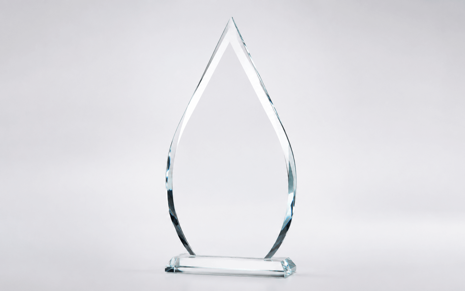 Big Slashed Award 
