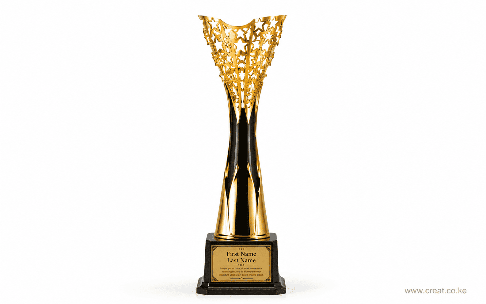 Custom Golden Trophy, 28 cm Height 