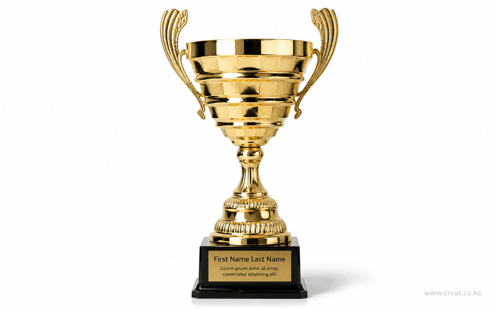 New Golden Trophy SL 229 