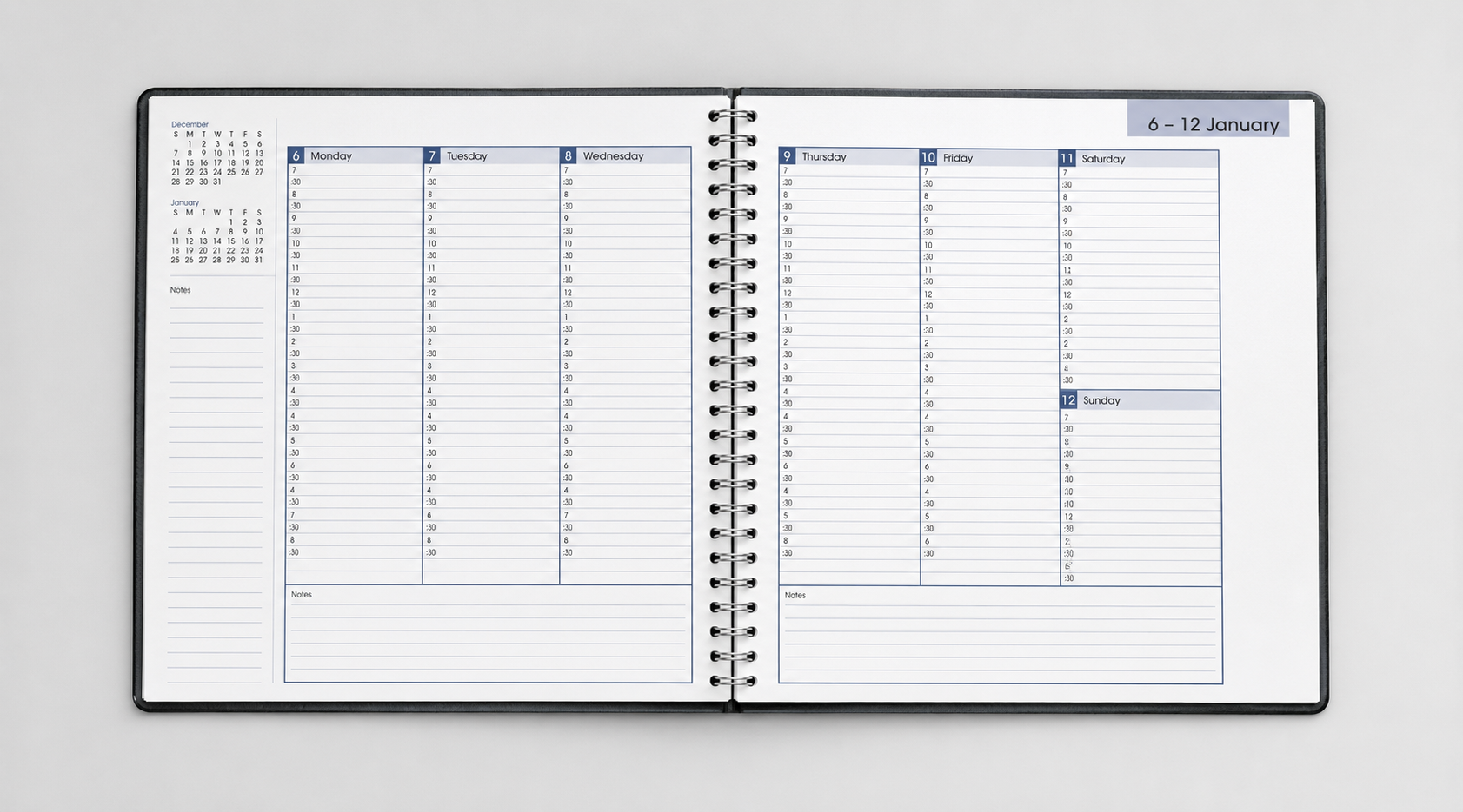 Weekly Business and Appointment Planner 